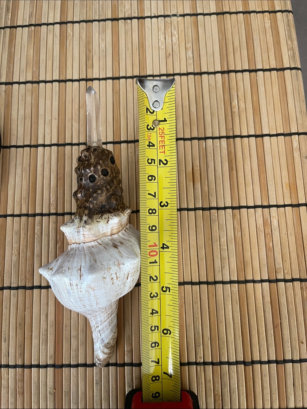 NWT Witches Moon Seashell Wand - Picture 2 of 2